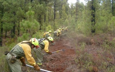 Plan local de prevención de incendios forestales – Actuaciones
