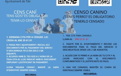 Realización del Censo Canino en Tibi